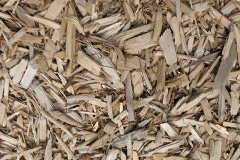 biomass boilers Thorpe Larches